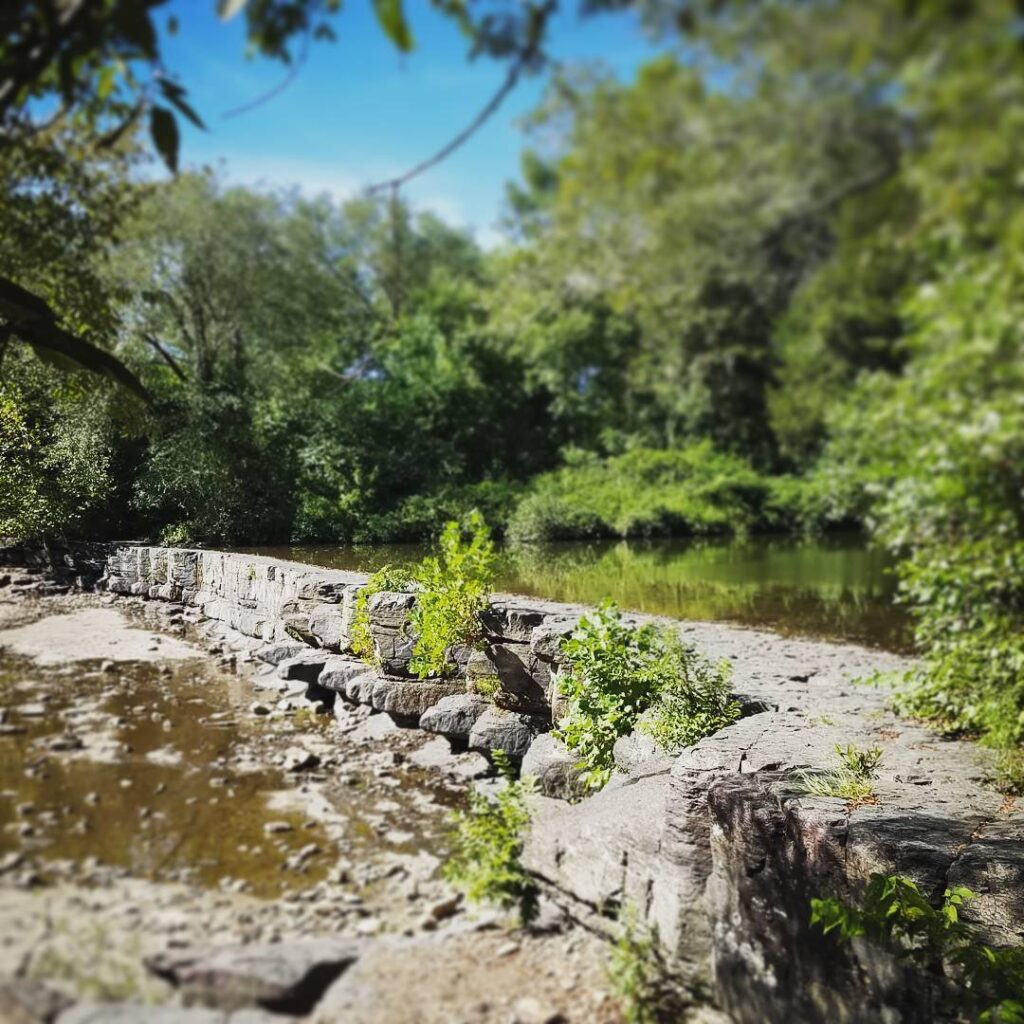 #ARPhotos